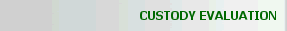 Child Custody Evaluation